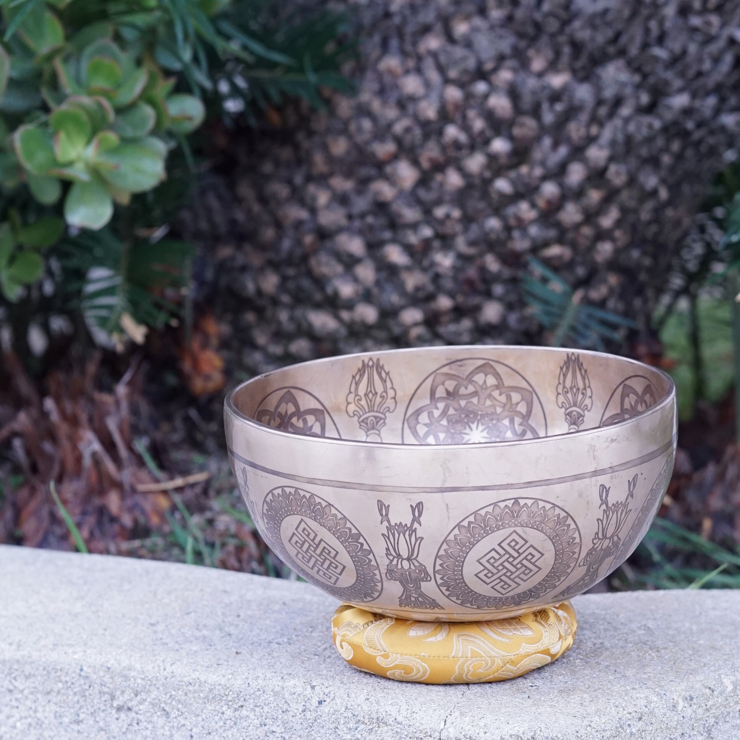 Bodhi Tree Singing Bowl